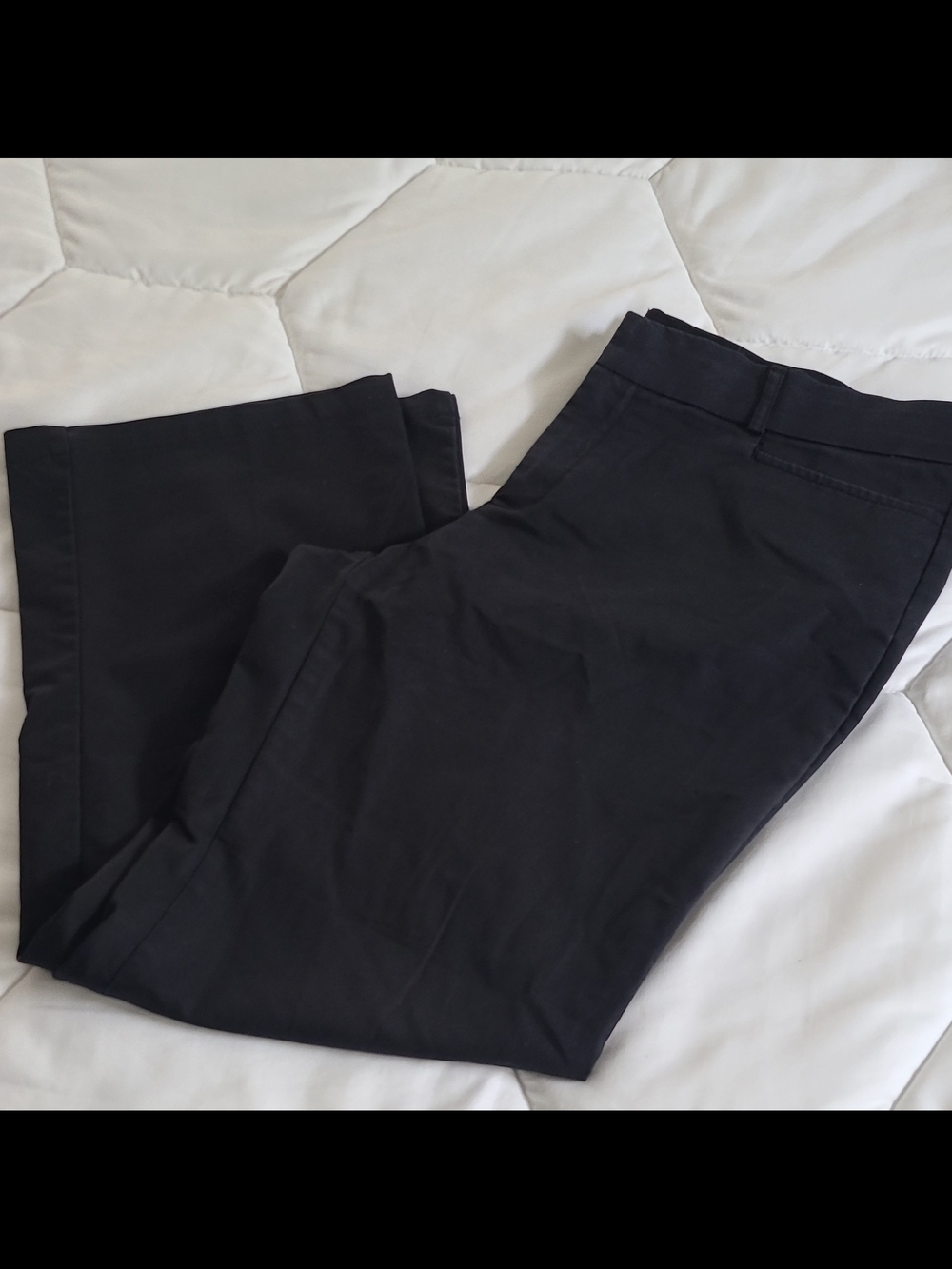 Dockers Women's Black Solid 16P Petite Dress Pants Flat Front Zip Closure